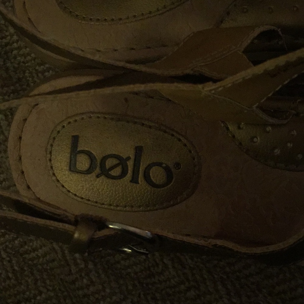 Bolo - Picture 3 of 6